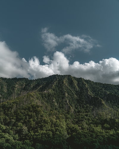 绿山在蓝天和白云白天
